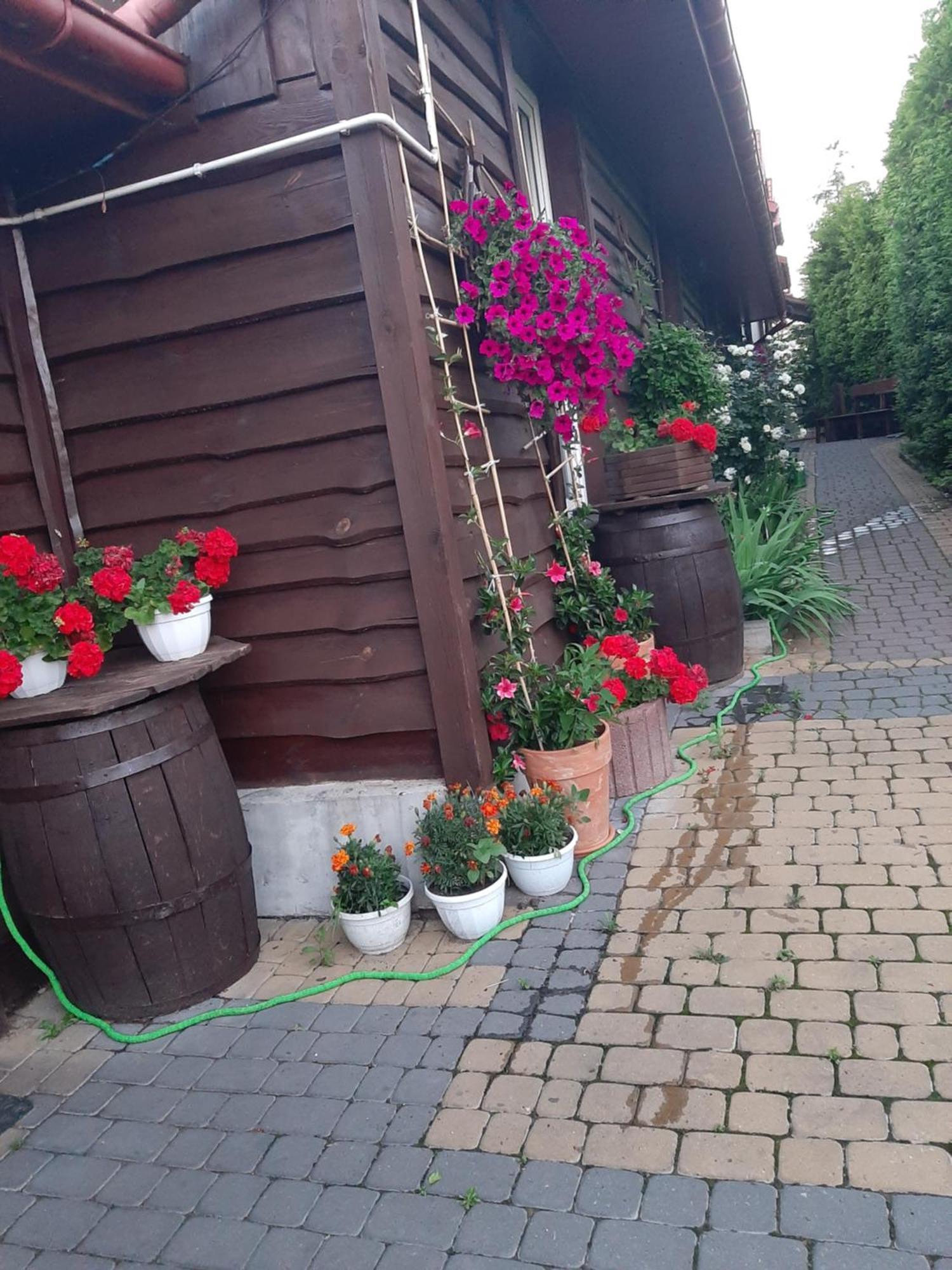 Appartement Zielone Zacisze à Zagnansk Extérieur photo