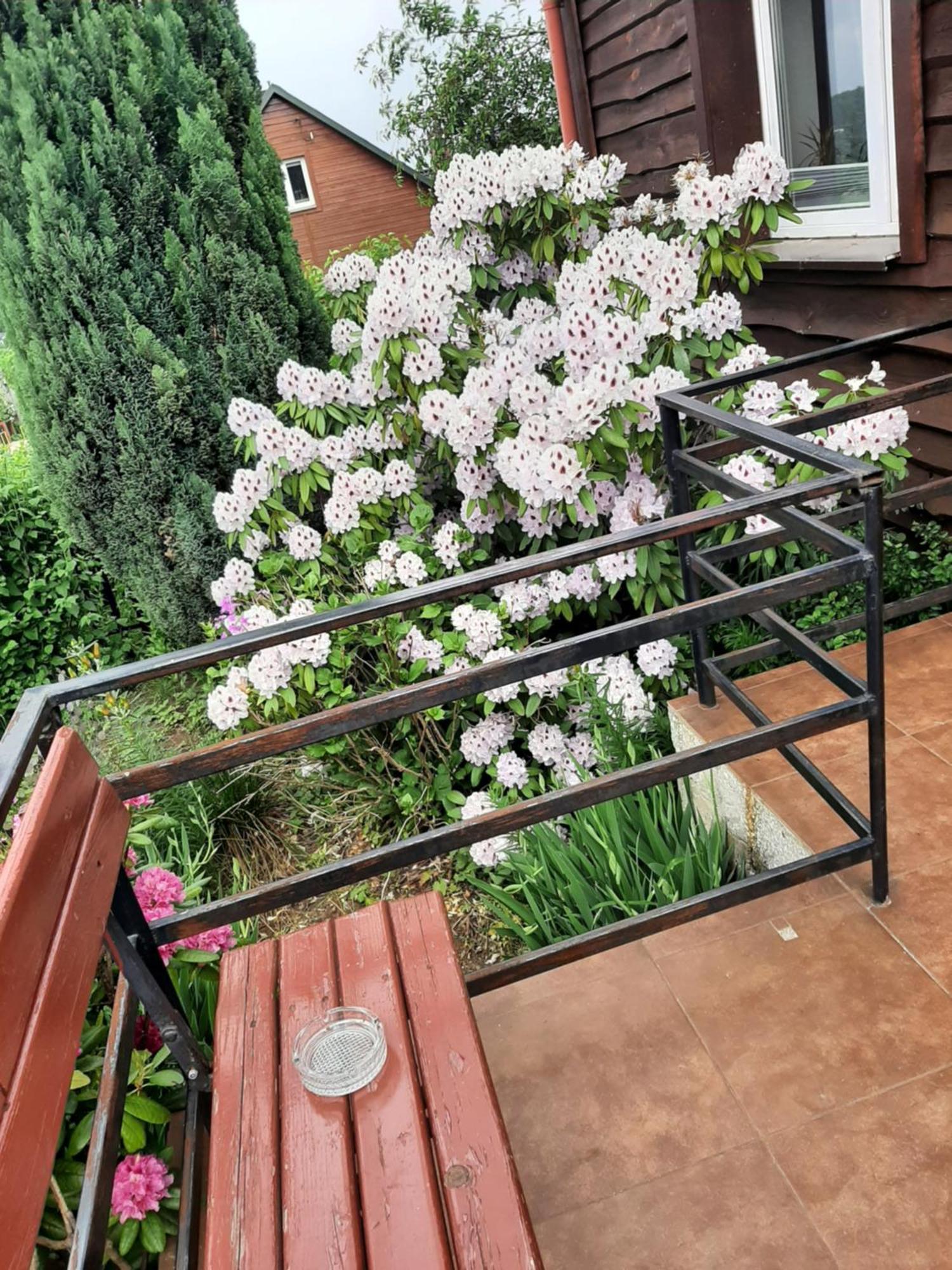 Appartement Zielone Zacisze à Zagnansk Extérieur photo